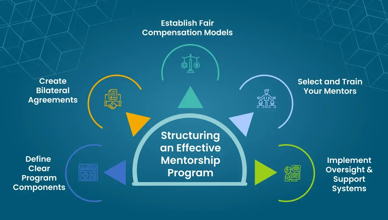 An Illustration Depicting Structuring an Effective Mentorship Program